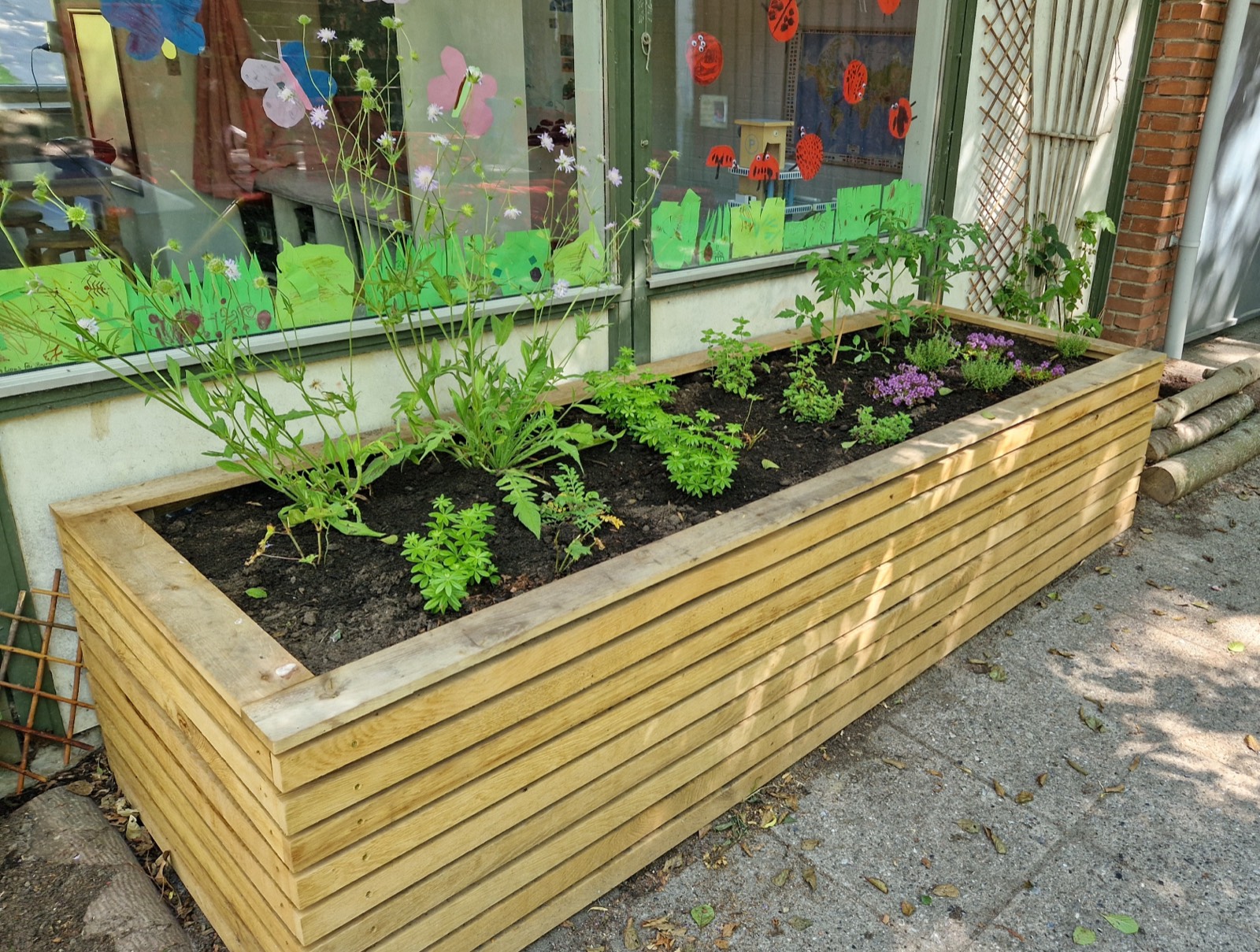 Højbed plantet med hjemmehørende urter og blomster ved en institution