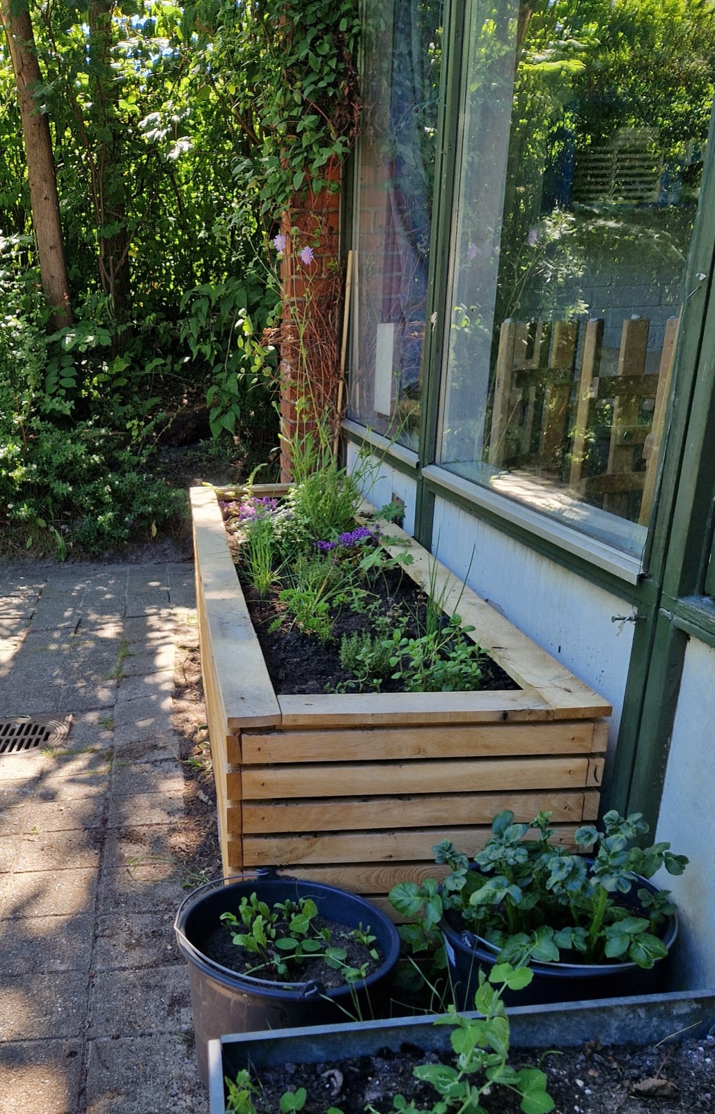 Langt højbed langs en facade med krydderurter og vilde blomster